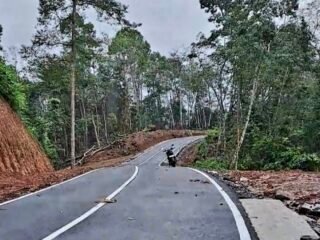 Tanah Jusnaini yang sebelumnya ditanami pohon karet, sudah ditumbang untuk pembangunan jalan, Sabtu (7/1/24).