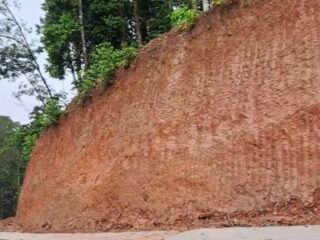 Tanah Jusnaini yang sebelumnya ditanami pohon karet, sudah ditumbang dan tanahnya diratakan untuk pembangunan jalan, Sabtu (7/1/24).