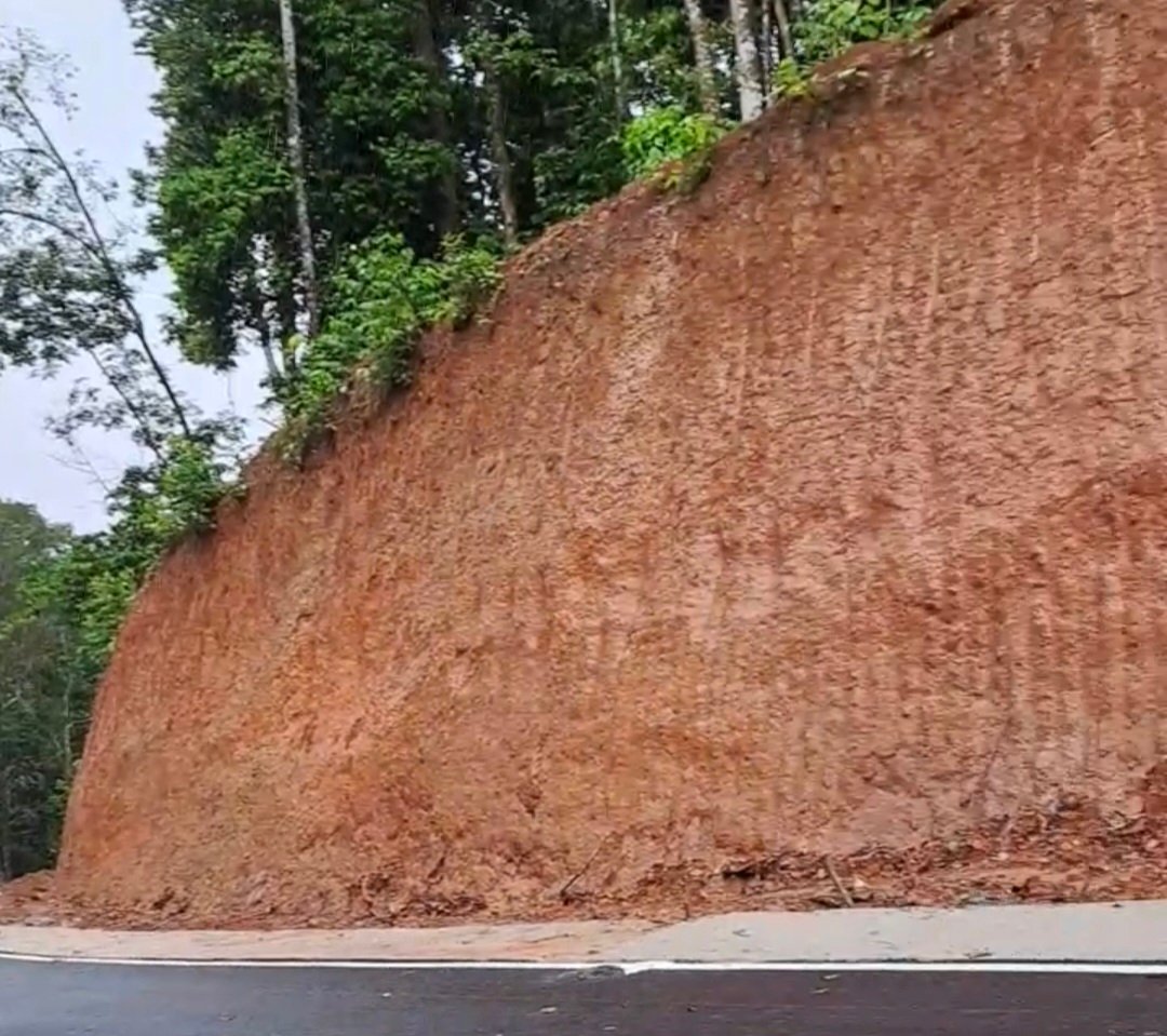 Tanah Jusnaini yang sebelumnya ditanami pohon karet, sudah ditumbang dan tanahnya diratakan untuk pembangunan jalan, Sabtu (7/1/24).