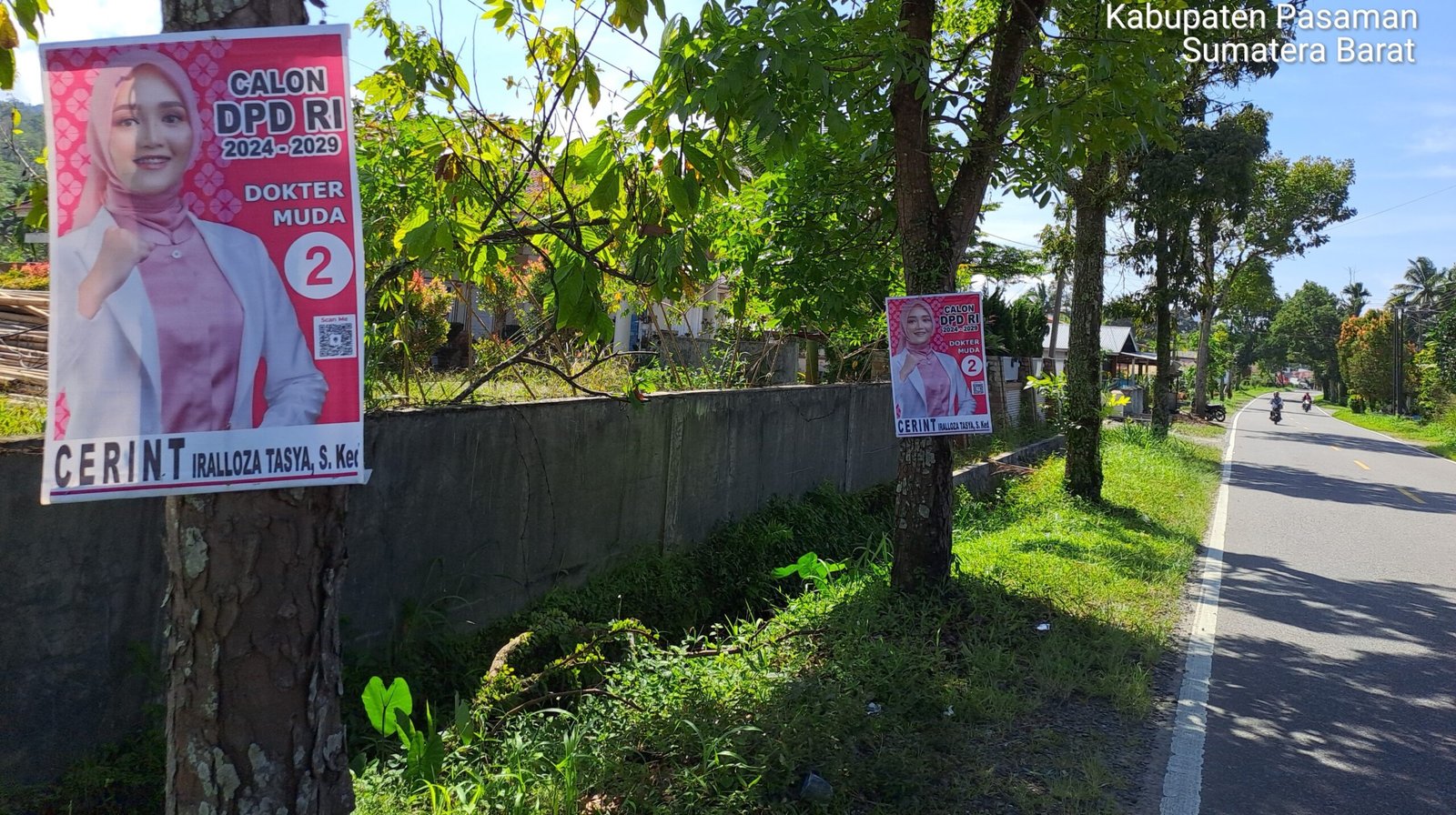 Alat Peraga Kampanye (APK) salah satu Calon DPD Sumatera Barat terpasang di pohon pinggir Nasional Kabupaten Pasaman, Selasa (2/1/24)