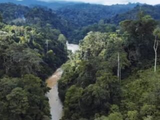 Orang Hanyut di Batang Kundur Belum Ditemukan, BPBD Pasaman Ngaku Tidak Tahu Kronologis