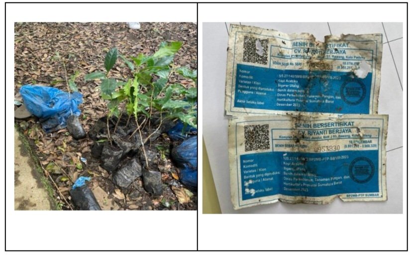 Label Rusak dan Contoh Label Biru Kopi Arabika (dok.LHP BPK)