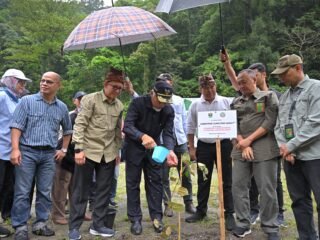 Pemprov Sumbar Gelar Program Penanaman Pohon Serentak Mendukung Kebijakan Nasional