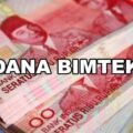 Ilustrasi dana Bimtek