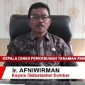 Kepala Dinas Perkebunan, Tanaman Pangan, dan Hortikultura Sumbar Afniwirman. Dok. Disbuntanhor sumbar