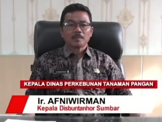 Kepala Baru Dinas Perkebunan Sumbar Afniwirman Janji Perbaikan dan hingga Usulan Staf Teknis