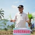 Gerakan Tanam 50 Ribu Hektare Percepat Pemulihan Sawah di Sumbar