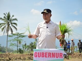 Gerakan Tanam 50 Ribu Hektare Percepat Pemulihan Sawah di Sumbar