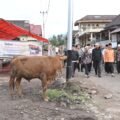 Tebar Kurban Pemprov Sumbar Melonjak, 140 Sapi dan 33 Kambing Disalurkan untuk Masyarakat
