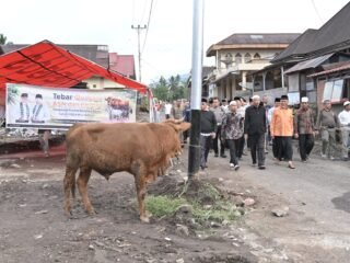 Tebar Kurban Pemprov Sumbar Melonjak, 140 Sapi dan 33 Kambing Disalurkan untuk Masyarakat