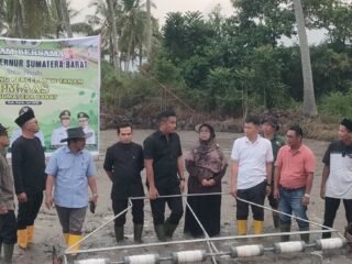 Wagub Vasko Dorong Pertanian Modern, Produktivitas Padi Ditargetkan 12 Ton per Hektare