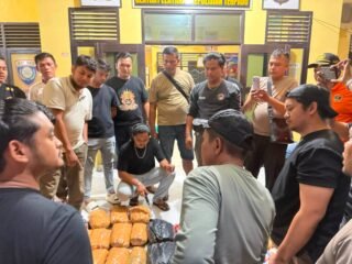 Kurir Ganja Antarprovinsi Ditangkap di Pasaman Barat, 30 Paket Siap Edar Diamankan Polisi