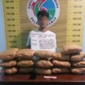 Tim Elang Timur Polres Pasaman Sergap Terduga Kurir Ganja, 16 Paket Besar Disita