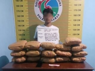 Tim Elang Timur Polres Pasaman Sergap Terduga Kurir Ganja, 16 Paket Besar Disita
