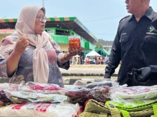 FORKONIPAS Meriahkan HUT Pasaman ke-81 Lewat Pameran Seni dan UMKM